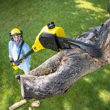 Best Lawn Mowing Services  in Palo Cedro, CA